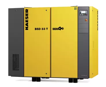 Schraubenkompressor BSD