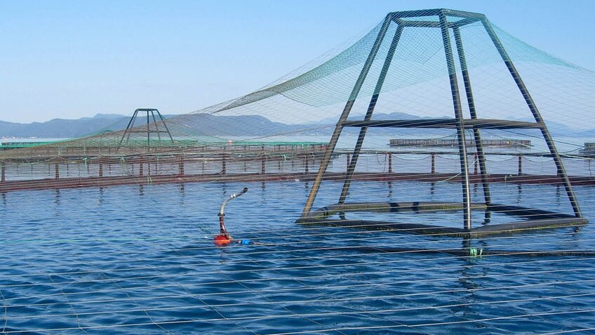 The importance of reliable and efficient blowers to automated fish feeding systems for aquaculture. Image courtesy of AKVA Group.