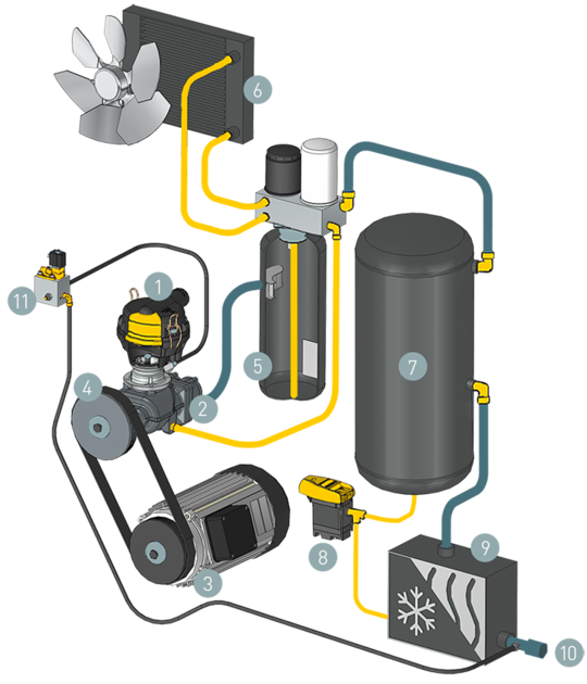 SXC component layout