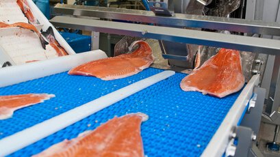 Druckluftanwendungen in der Aquakultur - Fischverarbeitung