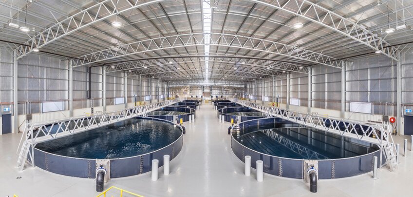 A Recirculating Aquaculture System (RAS). Image courtesy of Aquacare
