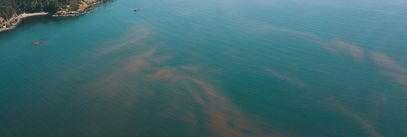Mitigating the impact of HABs on aquaculture with compressed air Part 2