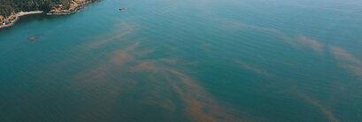 Mitigating the impact of HABs on aquaculture with compressed air Part 2