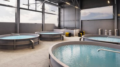 Druckluftanwendungen in der Aquakultur - Recirculating Aquaculture System (RAS)