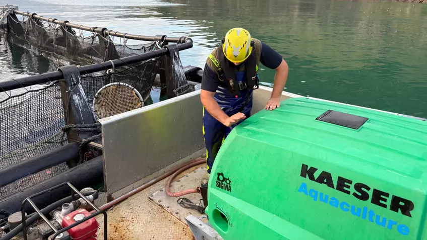 Built for the harbour: Kaeser's custom Mobilair M 50PE portable compressor delivers uninterrupted compressed air to Akaroa King Salmon.