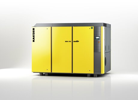 Schraubenkompressor ESD