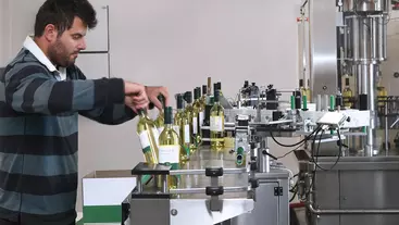 The new bottling line complete with KAESER compressed air system has allowed Fino Valley Wines to dramatically increase production.