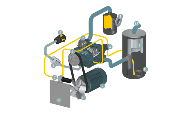 Component layout of a rotary screw vacuum pump