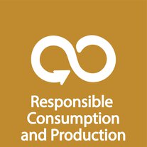 Promoting sustainable consumption and production patterns, using resources efficiently (SDG 12)