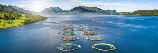 Air compressor in use in aquaculture – KAESER KOMPRESSOREN’s energy-efficient solution for sustainable compressed air requirements.