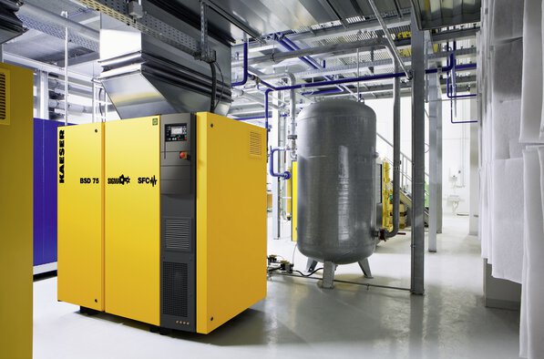 Schraubenkompressor BSD