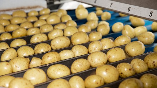 Compressed Air Applications in Agriculture - Farm-to-Market Processing