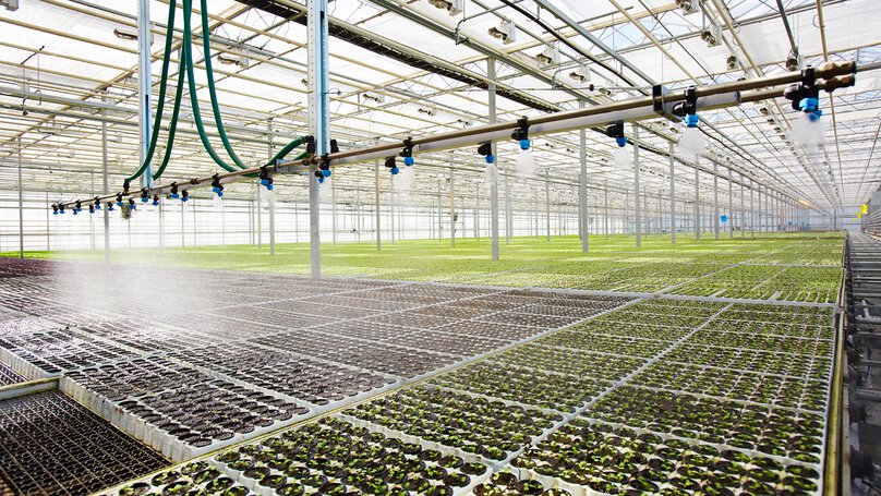 Irrigation system in greenhouse