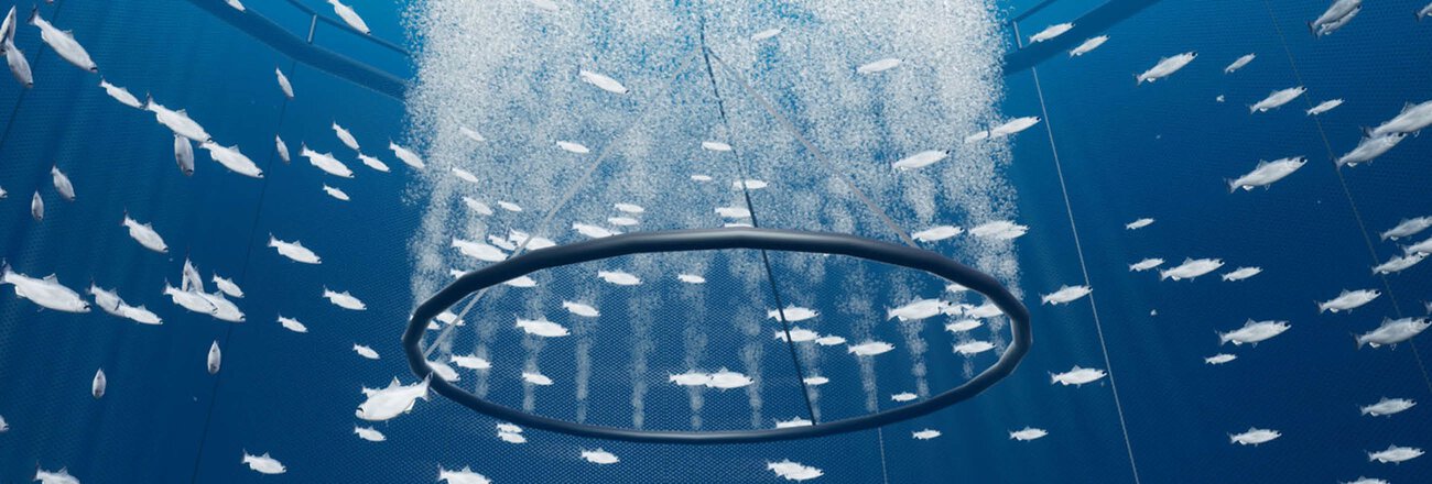 Druckluftanwendungen in der Aquakultur - Sea Pen Aeration (SPA)