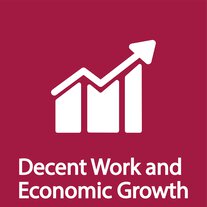 Promoting economic growth, full employment, and decent work for all (SDG 8)