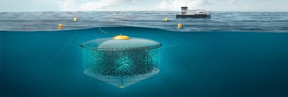 Efficient waste and morts collection is vital for these innovative ‘deep farming’ systems. Illustration courtesy of AKVA group.