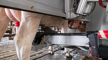 Compressed air from KAESER promotes automation and hygiene for robotic milking